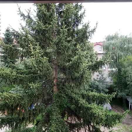 My Place Apartment